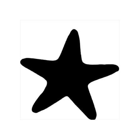 Søstjernen